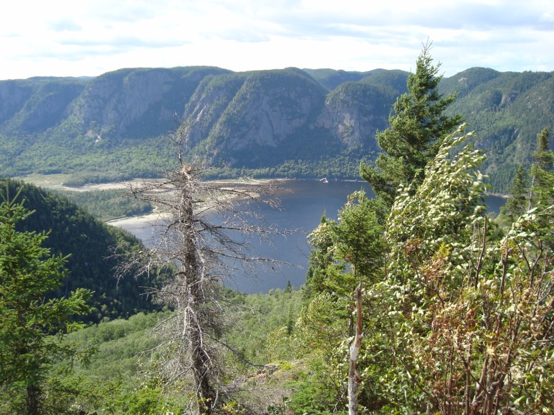 Rencontre piquante au parc de RivièreÉternité Gwendreams Quebec