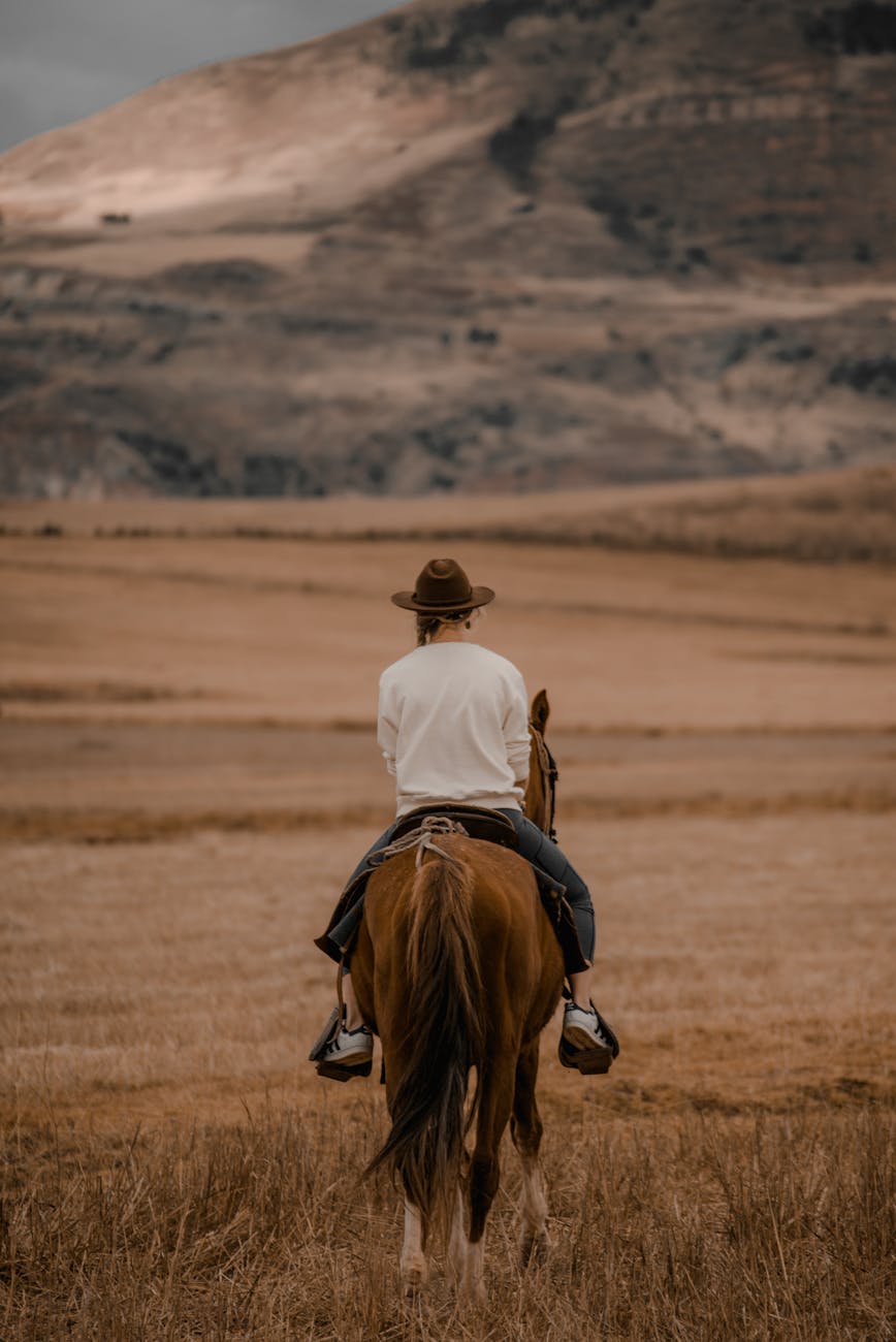 woman horseback riding on a field in mountains