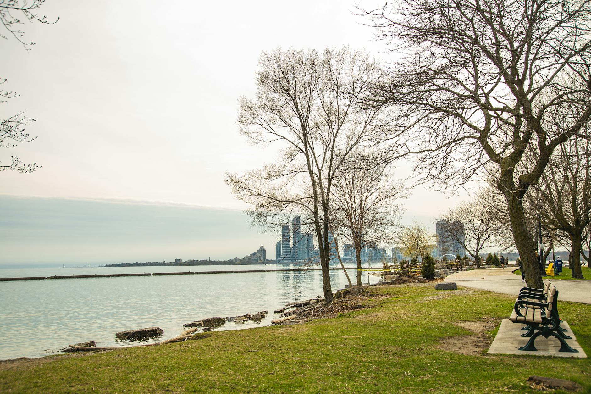 calm park on river shore with view of contemporary city skyscrapers